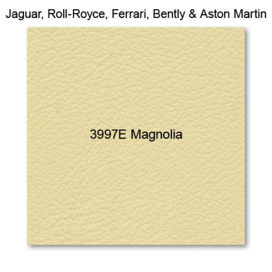 3997e-magnolia.png