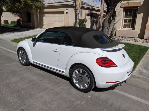 2020-06-13_white_beetle-black_top-gahh.jpg