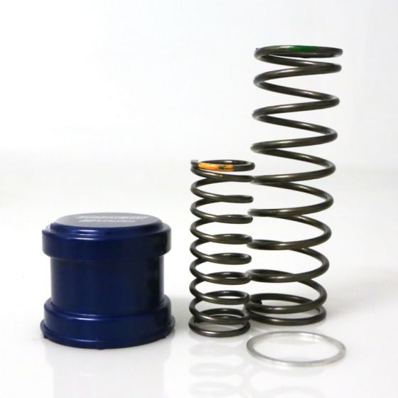 TS Wastegate Springs TS-0505-2010