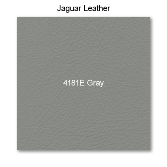 4181e-gray_2.png